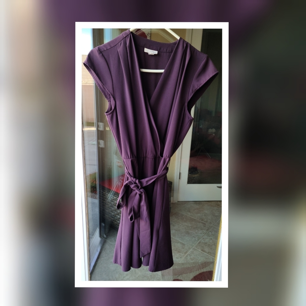 EUC Maison Jules Burgundy Dress